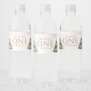 Étiquette Pour Bouteilles D'eau Fête d'anniversaire Rose Argent Onederland Hiver