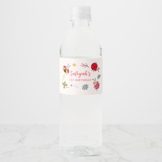 Étiquette Pour Bouteilles D'eau Ladybug Girl Birthday Party (Devant)