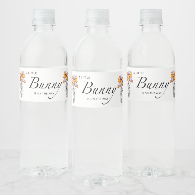 Étiquette Pour Bouteilles D'eau Petit baby shower lapin (Bouteilles)