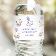 Soignée Goose fête d'anniversaire