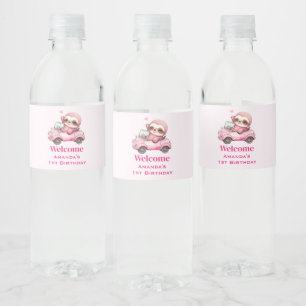 Étiquette Pour Bouteilles D'eau Sourire rose Sloth conduisant une convertible