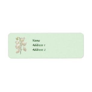 Étiquette Produits Mariages Dainty White Orchids