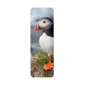 Étiquette Puffin