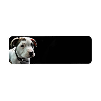 Étiquette Puppy Pit Bull T-Bone