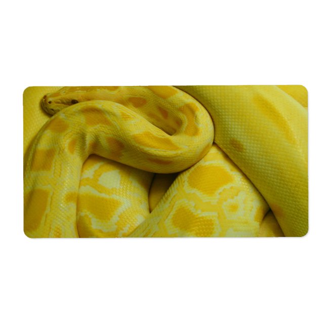 Étiquette Python birman jaune (Devant)