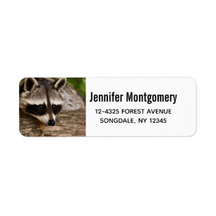 Étiquette Raccoon mignon reposant sur un journal