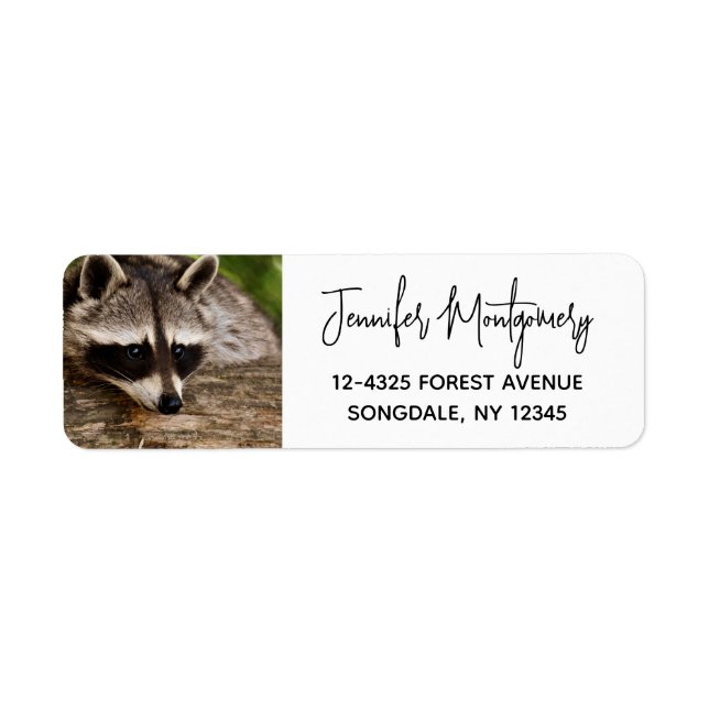 Étiquette Raccoon mignon reposant sur un journal (Devant)