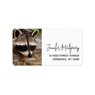 Étiquette Raccoon mignon reposant sur un journal