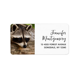 Étiquette Raccoon mignon reposant sur un journal