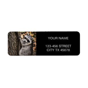 Étiquette Raccoon sauvage