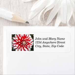 Étiquette Red and White Dahlia Floral Adresse de retour