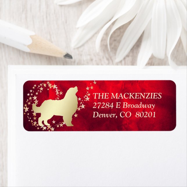 Étiquette Red Gold Star Swirl Bernese Mountain Dog (En situation)