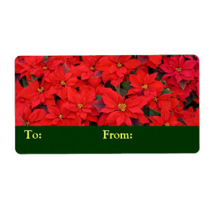 Étiquette Red Poinsettias I Christmas Holiday Floral Photo