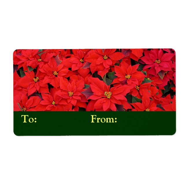 Étiquette Red Poinsettias I Christmas Holiday Floral Photo (Devant)