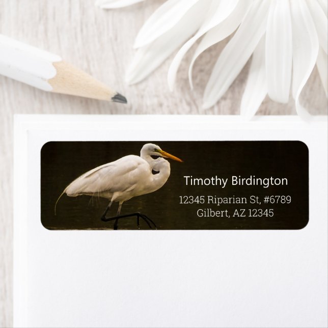 Étiquette Réflexion d'Oiseaux D'Aiguilles Blancs Commun Dans (En situation)