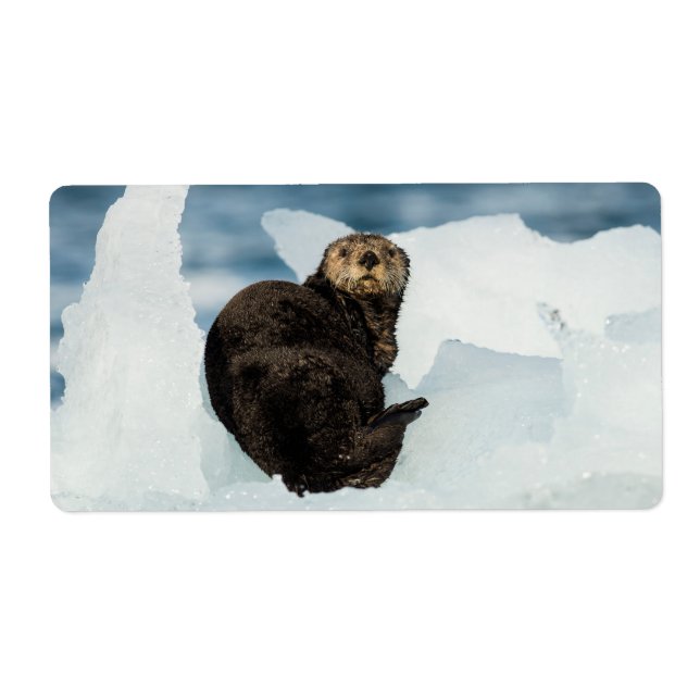 Étiquette Remise de la Loure de mer (Devant)