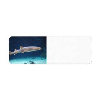 Étiquette requin