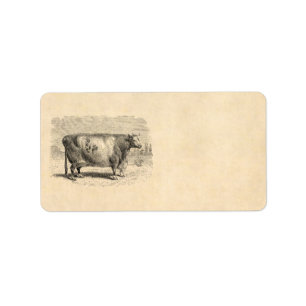 Étiquette Rétro modèle de vaches de 1800s à grande vache