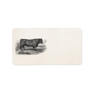 Étiquette Rétros taureaux de vache de 1800s à illustration