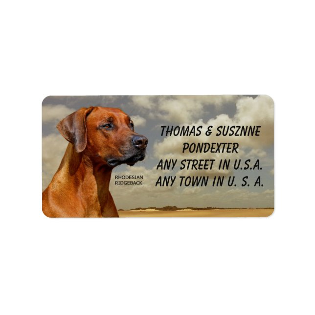 ÉTIQUETTE RHODESIAN RIDGBACK (Devant)