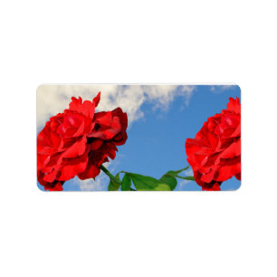Étiquette Rosa Don Juan avec le ciel bleu