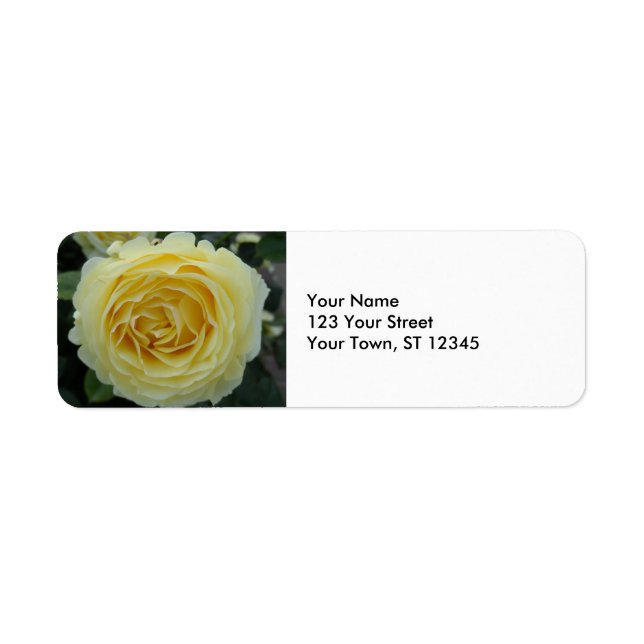 Étiquette Rose jaune (Devant)