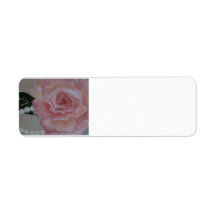 rose rose et perle peint par Gwen Billips
