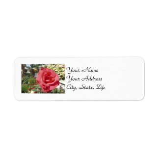 Étiquette Rose rose rose