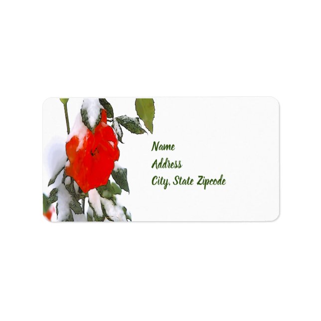 Étiquette Rose rouge en neige (Devant)