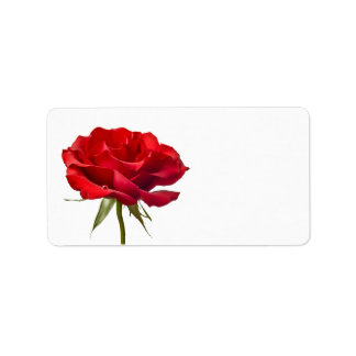 Étiquette Rose rouge sur blanc - Modèle Rose Customisé