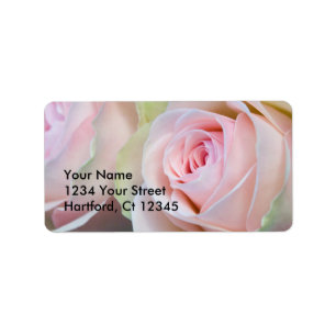 Étiquette Roses d'étiquette de adresse