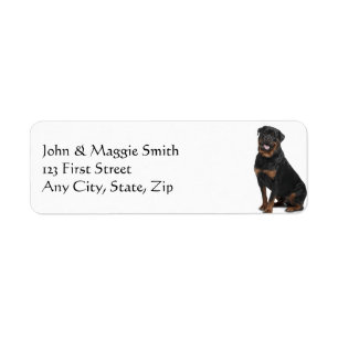 Étiquette Rottweiler chien animal animal animal animal anima