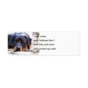Étiquette rottweiler mignon nouveau