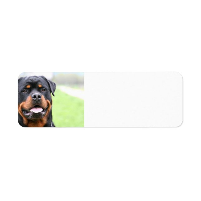 Étiquette Rottweiler.png (Devant)