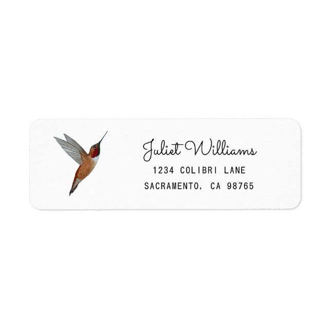 Étiquette Rufous Hummingbird Return Address Label (Devant)