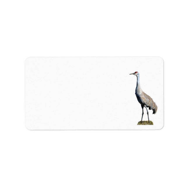 Étiquette Sandhill Crane Photo Retour Adresse Label (Devant)