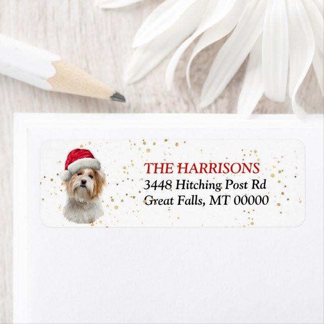Étiquette Santa Hat Shih Tzu Chien Retour Adresse (En situation)