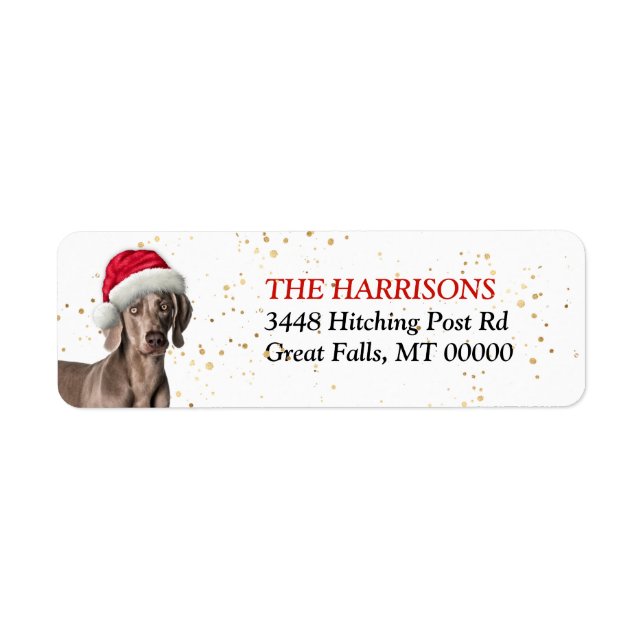 Étiquette Santa Hat Weimaraner Chien Retour Adresse (Devant)