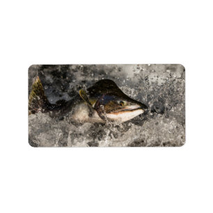 Étiquette Saumon de saut