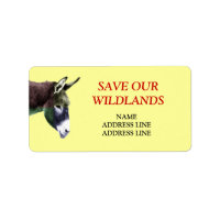Save Our Wildlands 1 - American Southwest Burro
