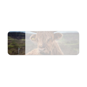 Étiquette Scottish Highland Cow Longhorn Bull Rancher