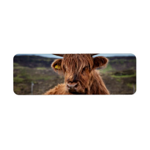 Étiquette Scottish Highland Cow Longhorn Bull Rancher