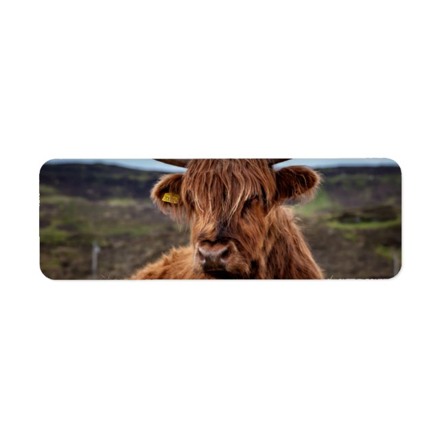Étiquette Scottish Highland Cow Longhorn Bull Rancher (Devant)