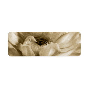 Étiquette Sépia blanche et arrière - plan crème de dahlia