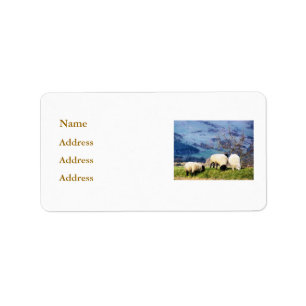 ÉTIQUETTE SHEEP
