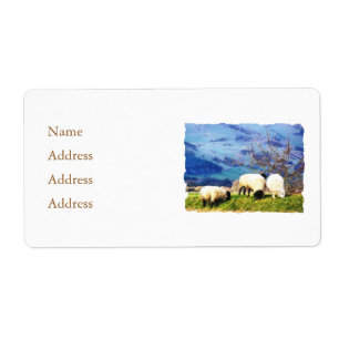 ÉTIQUETTE SHEEP