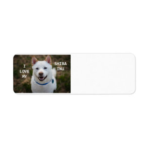 Étiquette shiba-inu crème amour w pic