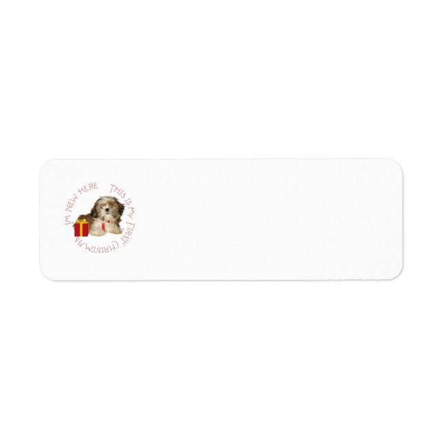 Étiquette Shih Tzu Puppy Premier Noël (Devant)
