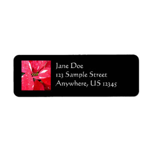 Étiquette Shimmer Star Surprise Poinsettia vacances Florale