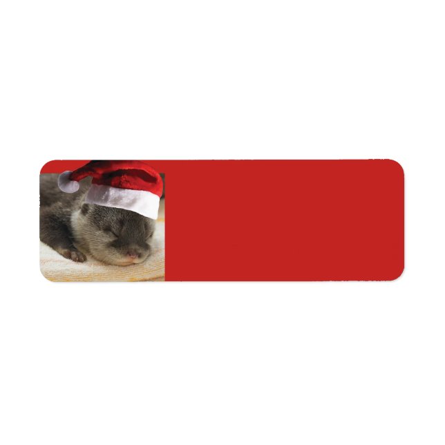 Étiquette Sleepy Otter Santa Claus (Devant)